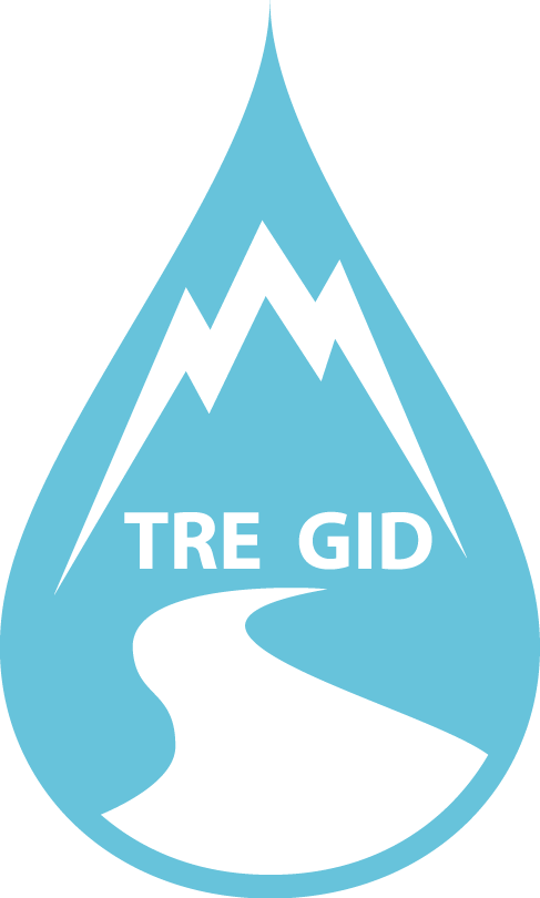 TRE GID Logo